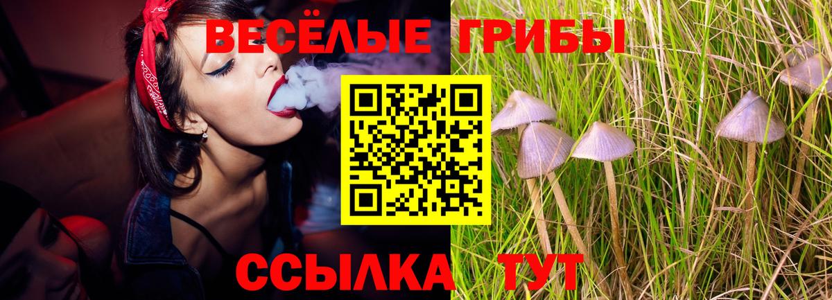 Псилоцибиновые грибы GOLDEN TEACHER Вольск