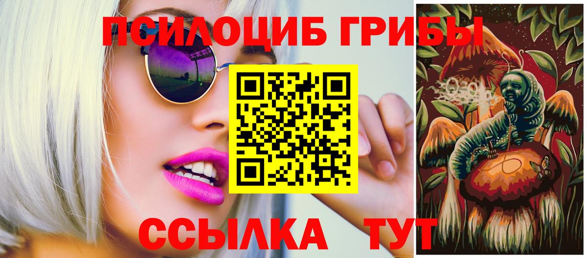 Псилоцибиновые грибы ЛСД  сколько стоит  Вход с VPN  Вольск  Псилоцибиновые грибы Psilocybine cubensis 